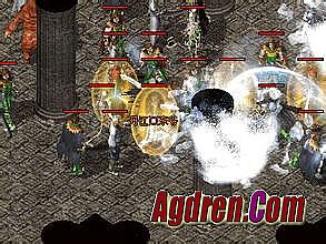 176���Ŵ�����վģ��