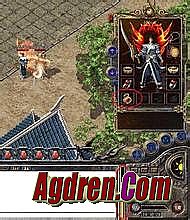 �����½�����������