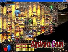 2016����ʮ�����