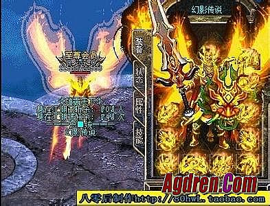 �¿�����������վ