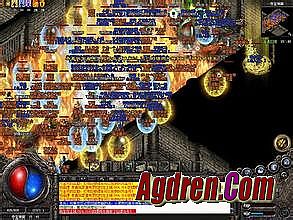 ��������α��