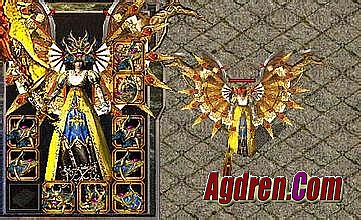 ����4�����ܲ���