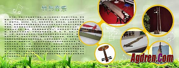 �����ҵ��ô��