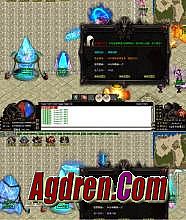 ����1.76���� gmȨ��