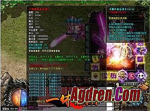 �������α�̬����