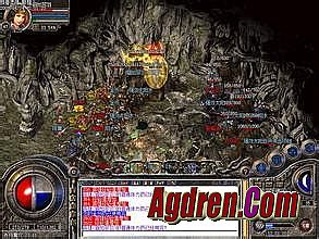 ���´���������������