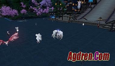 1.76���Ŵ�����ַ