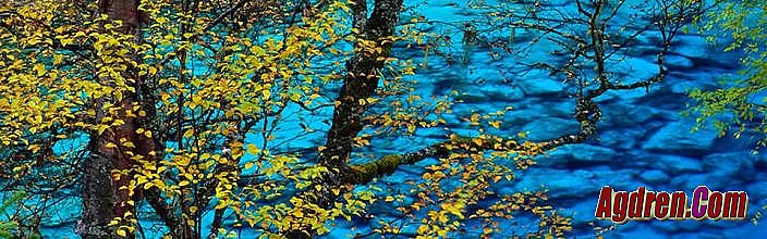 ���״���װ��չʾ