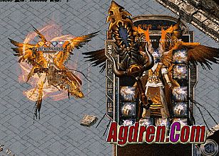 ���״�����ҳ��