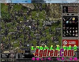 sf1.76���Ŵ���