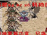 �ǻҴ���ɼ����ִ̿;�������